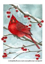 Cardinal, berries, snow, branch