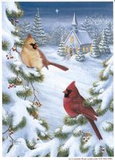 Cardinals, Snow, Evergreen, Church