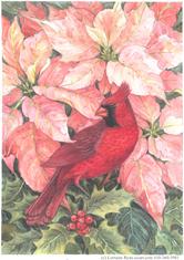 cardinal, pink poinsettia, holly