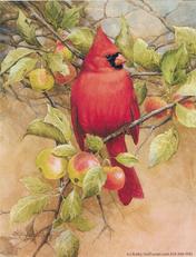 Cardinal, apples, leaves