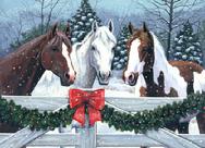 Horses by Barbara Gibson