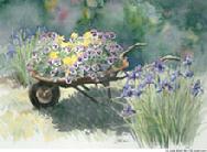 Wheelbarrow by Judy Mizell