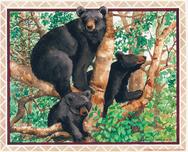 Bears by Parker Fulton