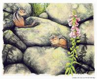Cute chipmunks eating nuts and perching on things