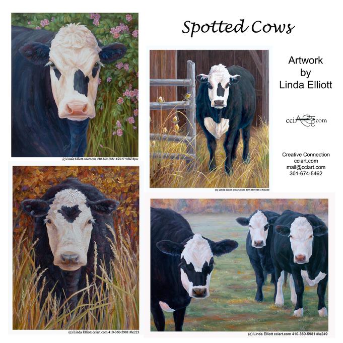 Four Cow Paintings, each with a cow with a spot on it's face