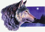 Wolf design by Barbara Gibson