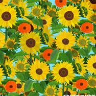 Sunflowers by Nina Herold